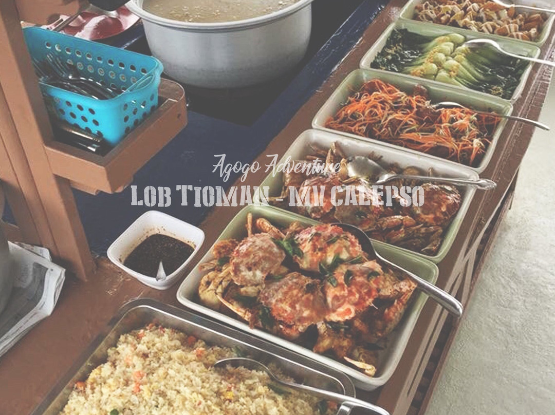 Ocean Sunshine Scuba-刁曼岛必去景点