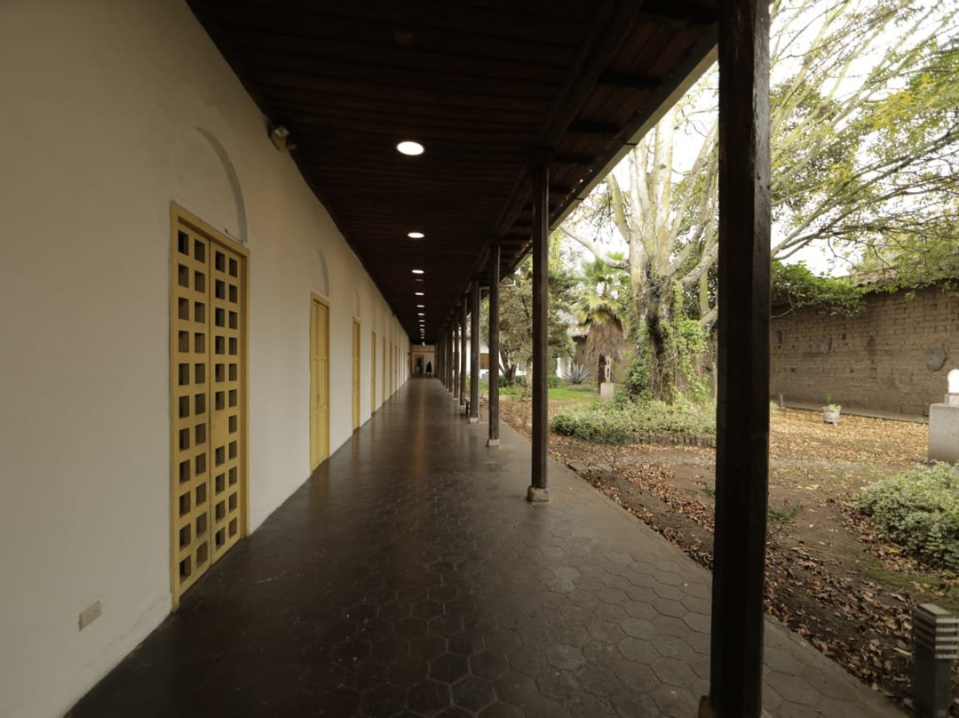Museo Municipal de Arte Moderno景点图片