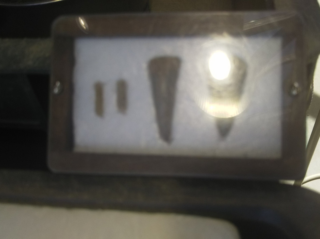 Kaseki to Shizen no Taikenkan-东松山市必去景点