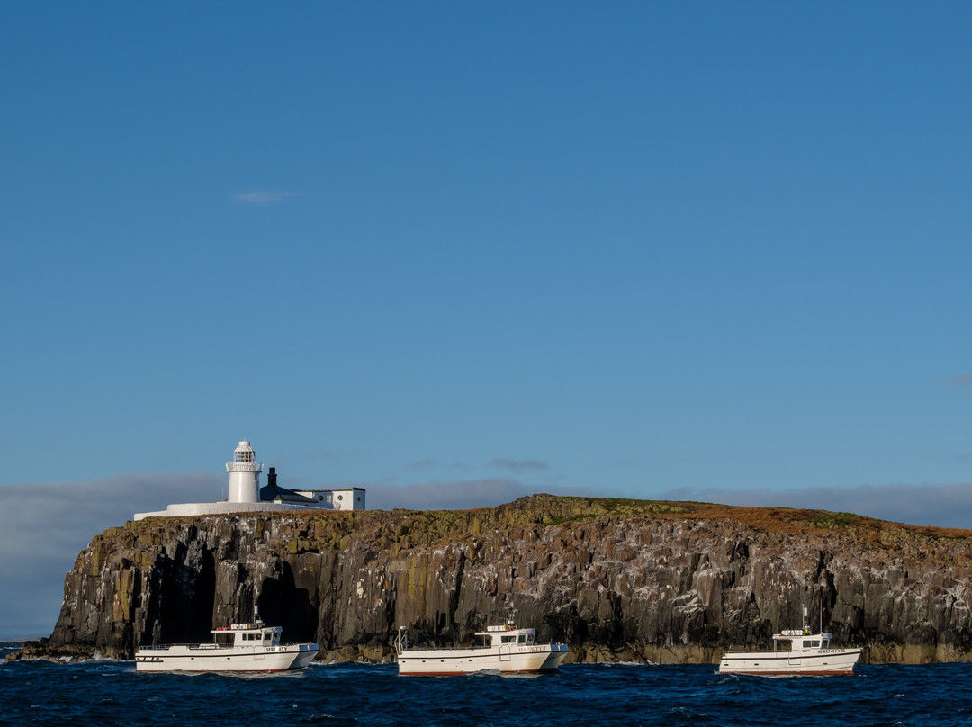 Serenity Farne Island Boat Tours景点图片