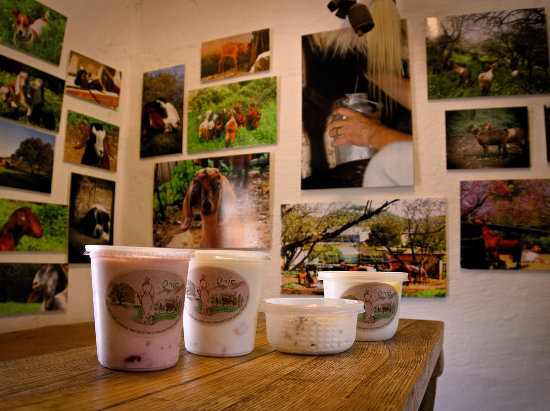 Horesh goat cheese-Kiryat Tivon必去景点