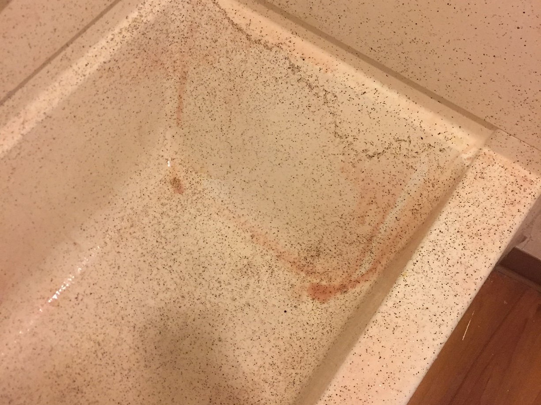 Motel 6 Blue Springs