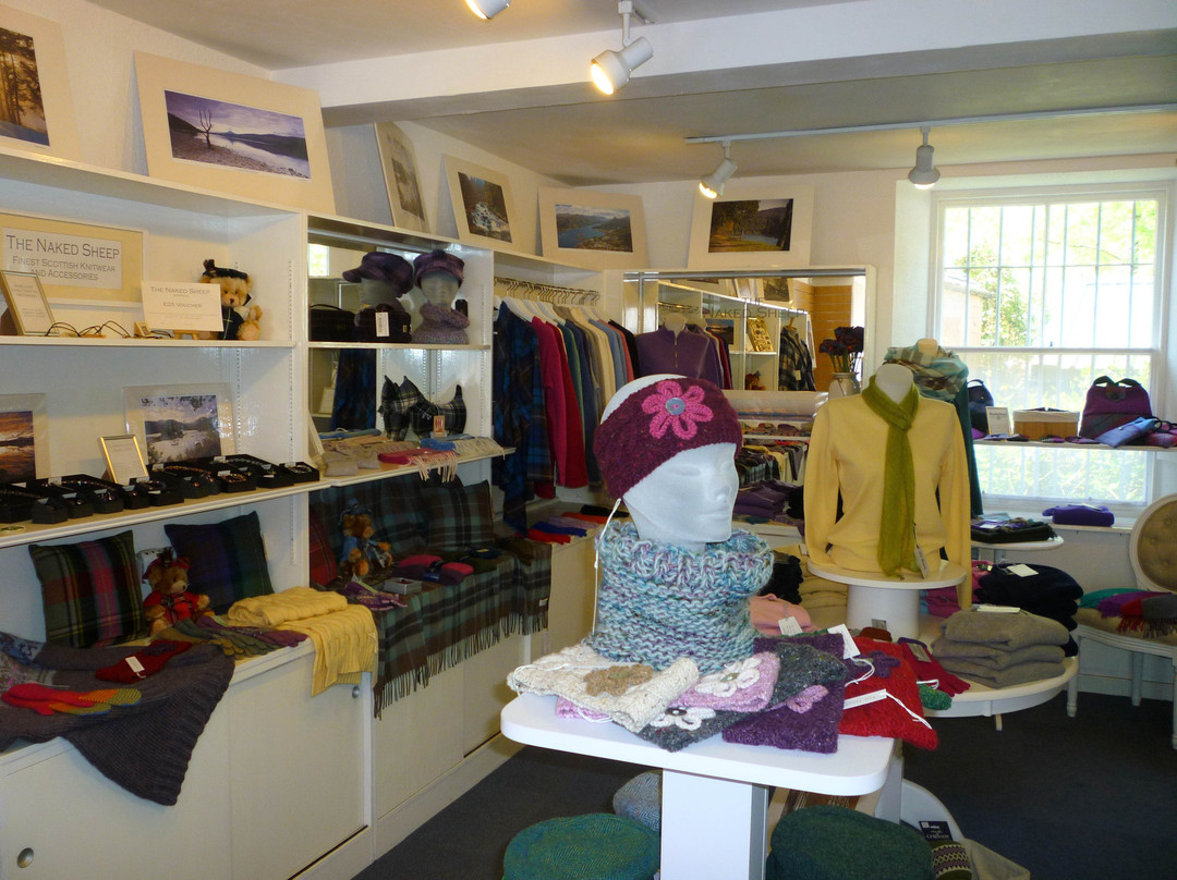 The Naked Sheep-Dunkeld必去景点