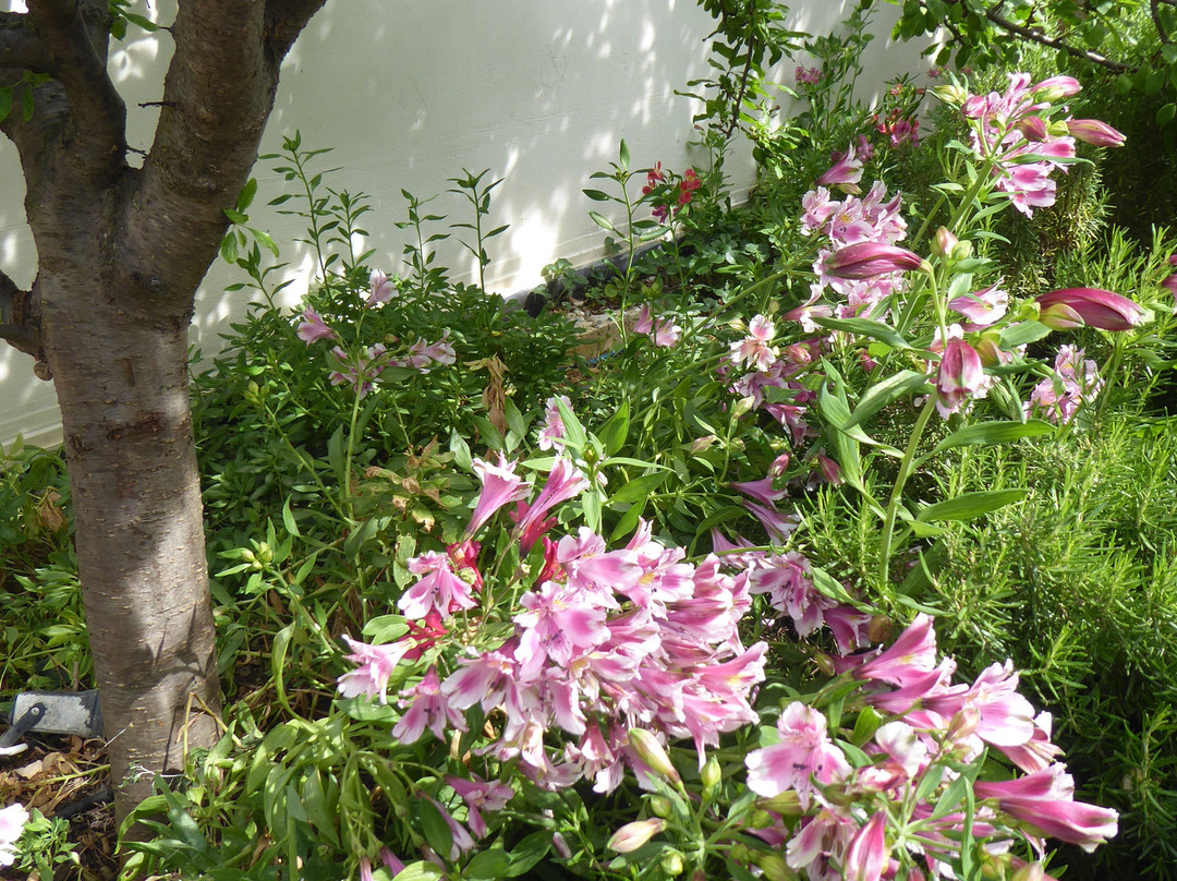 4 Epoches Hotel主图