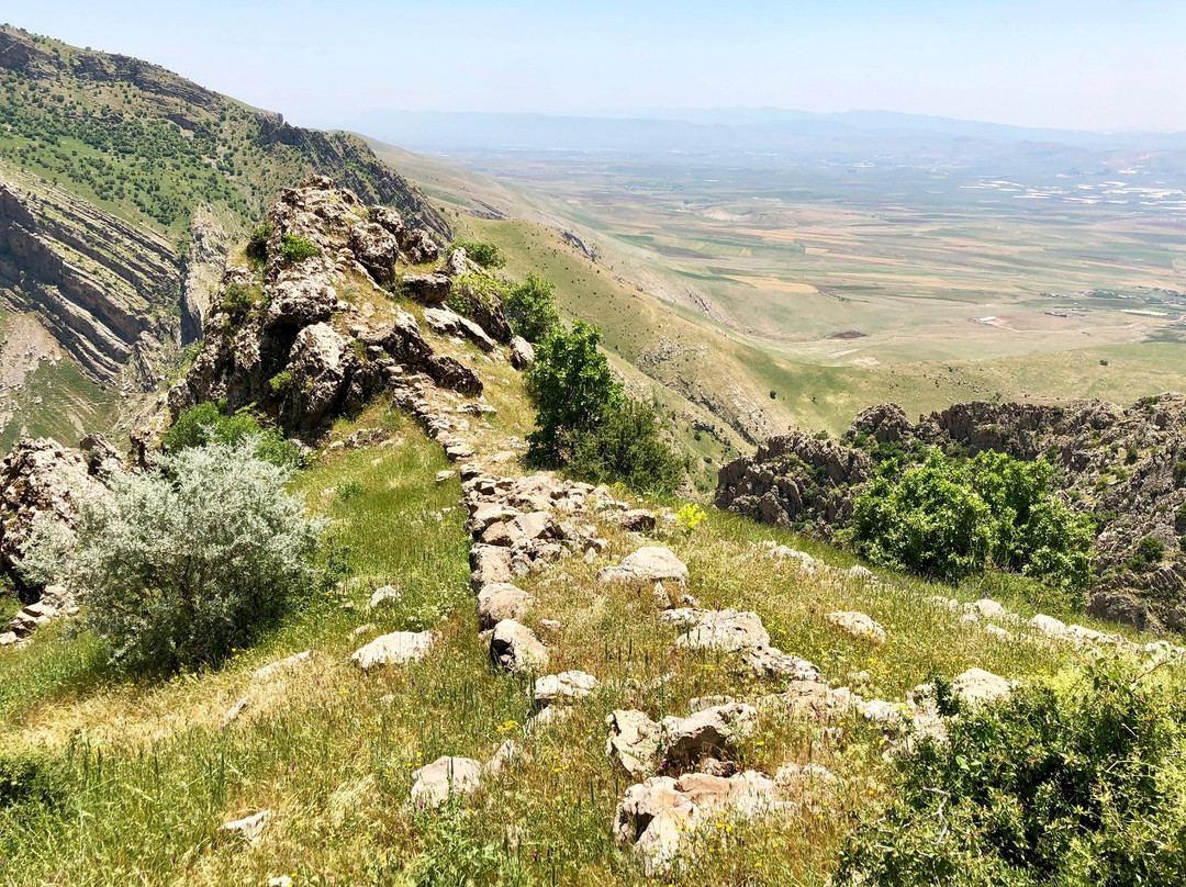 Merquli Rock Relief-苏莱曼尼亚必去景点
