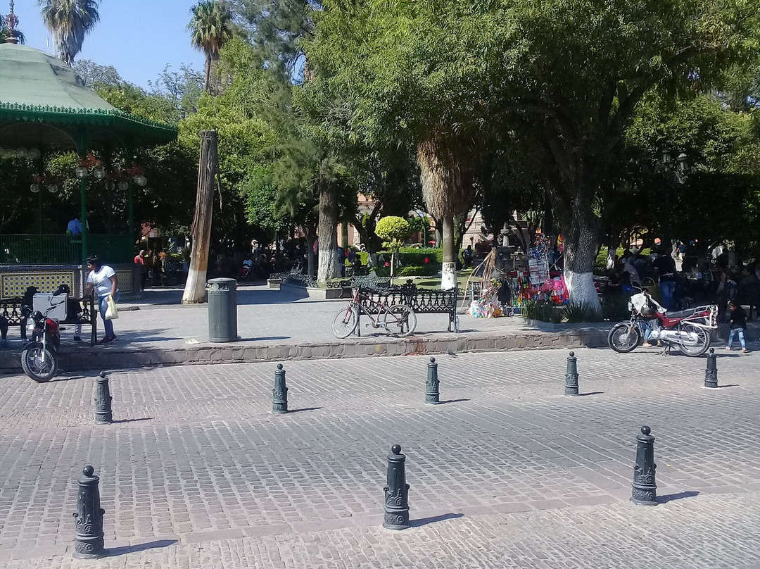 Plaza Principal - Jardin del Grande Hidalgo景点图片