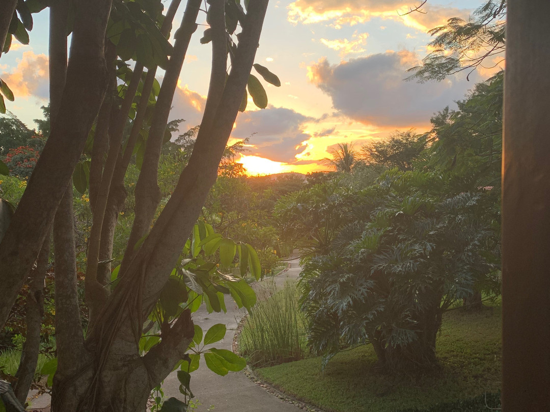 Oasis Boutique Hotel & Spa主图