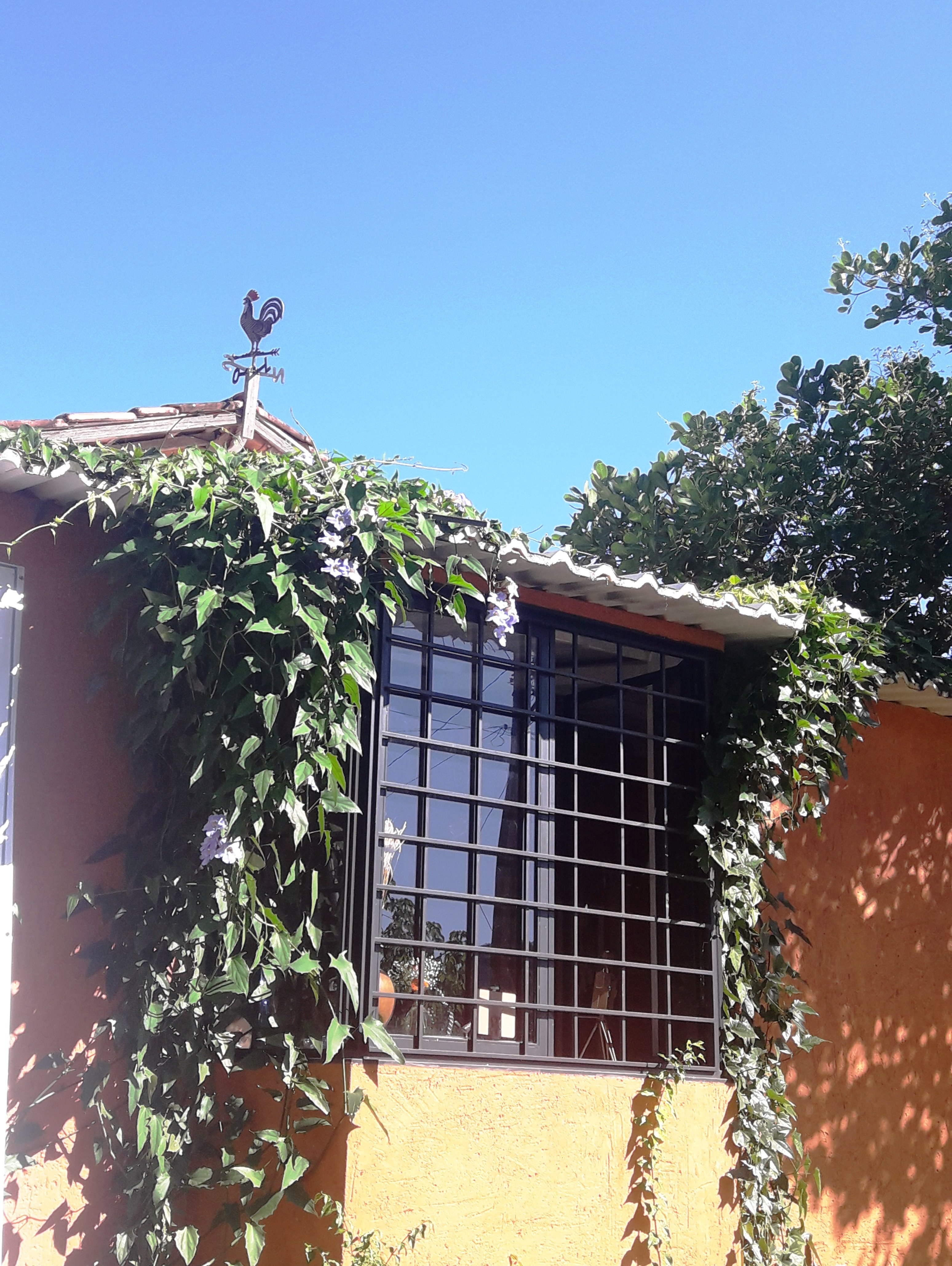 Pousada Casa Das Flores-家庭/游戏区