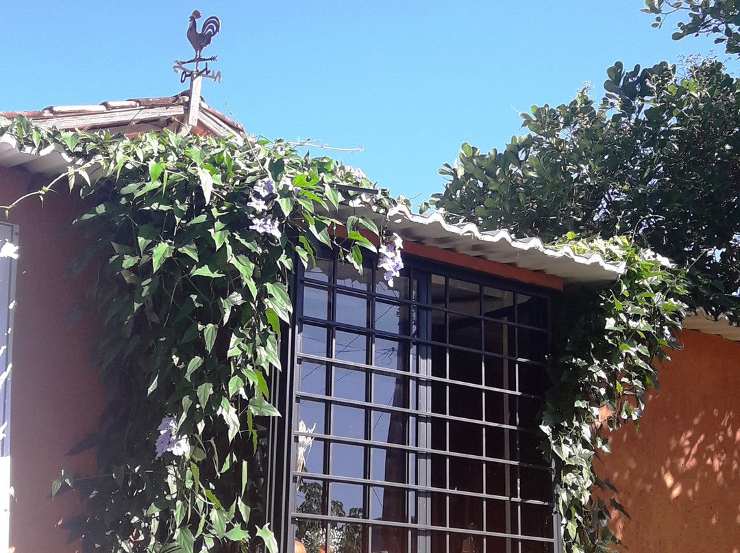 Pousada Casa Das Flores主图