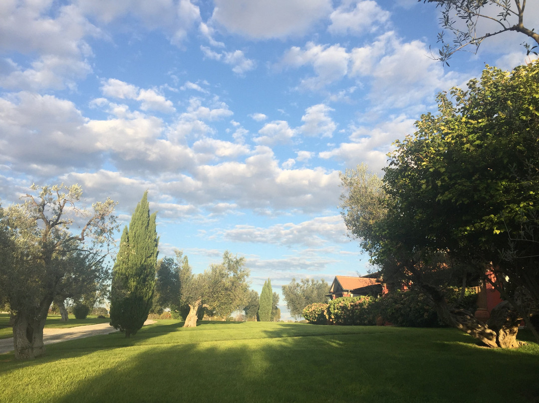 Montalto di Castro酒店住宿-La Pecora Ladra