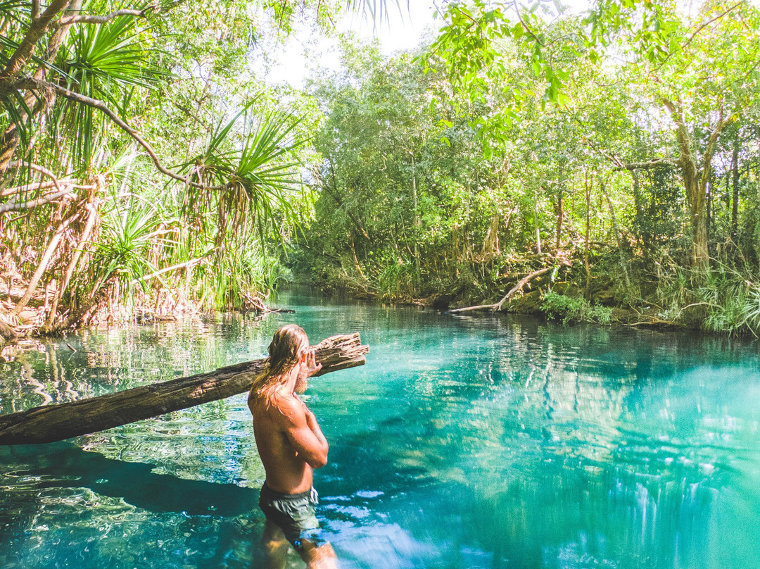 Berry Springs Nature Park-达尔文市必去景点