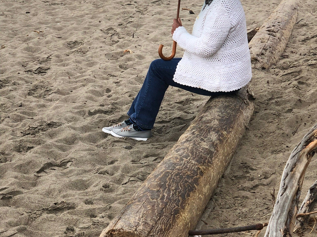 米尔谷旅馆主图