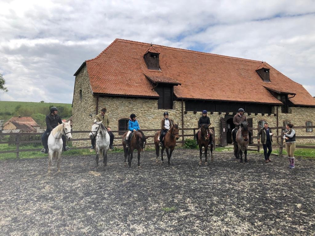 Villa Abbatis Equestrian Center景点图片