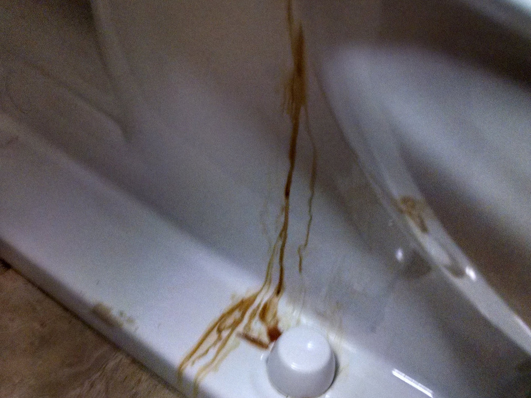 贝斯特韦斯特沃喀莎酒店主图