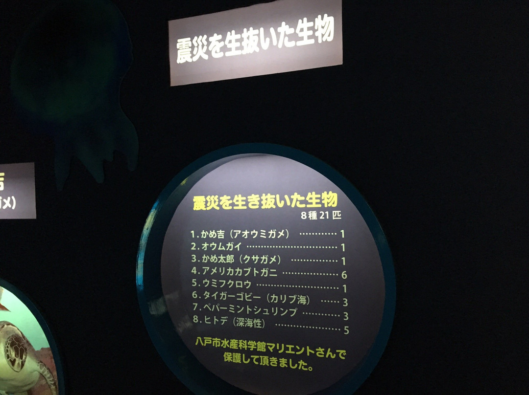 Kuji Underground Science Museum Moguranpia景点图片