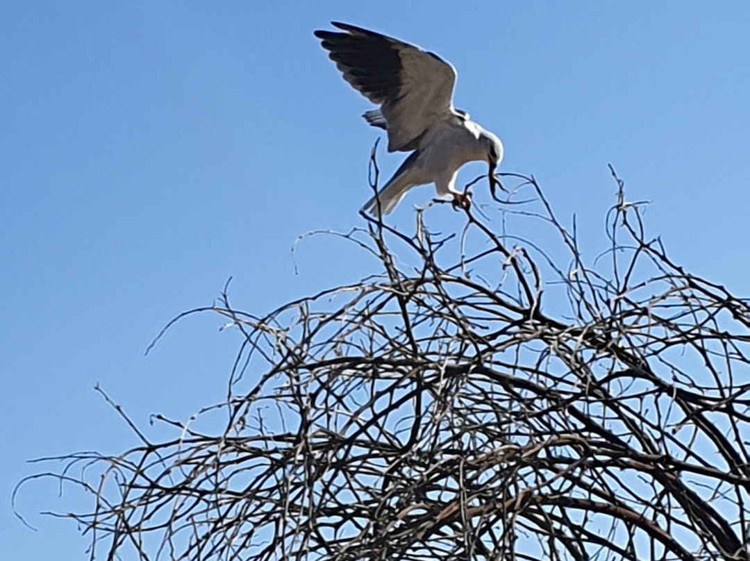 Dlamini 4 Africa Tours & Safaris-比勒陀利亚必去景点