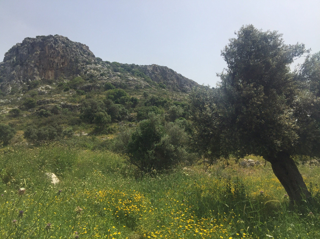 Nahal Sfunim景点图片