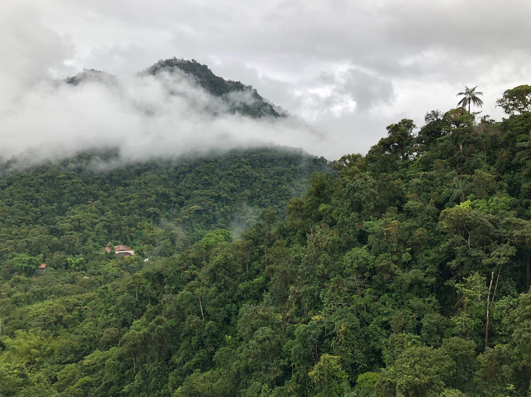 Minjoy Park-明多必去景点