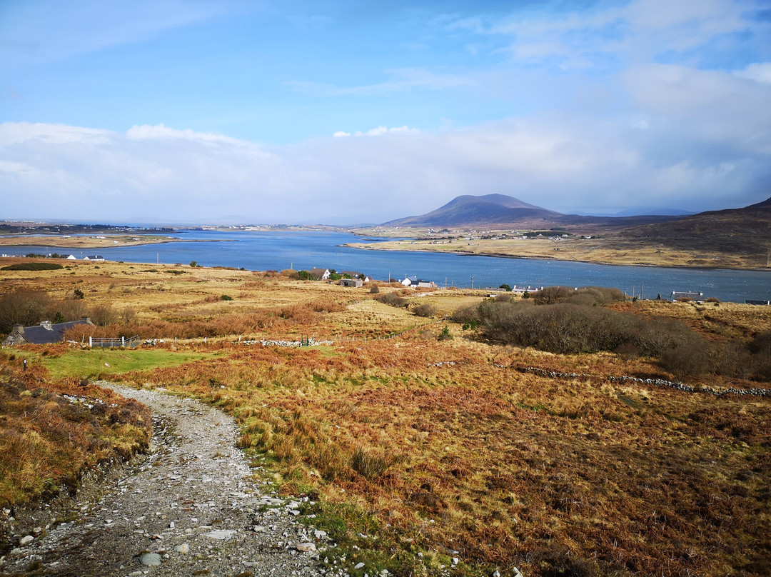 Clare Island旅游攻略图片