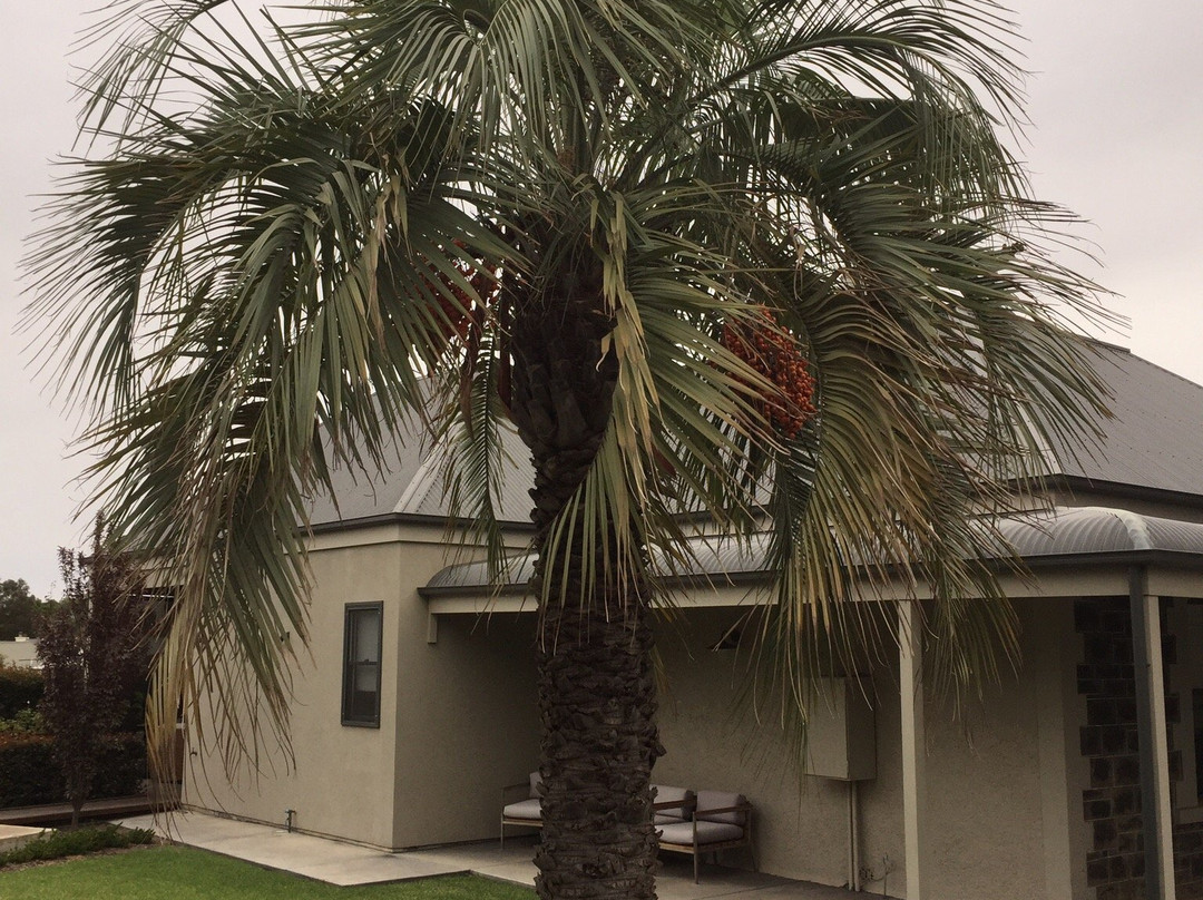 Barossa Bed & Breakfast主图