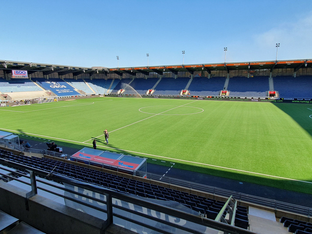 Viking Stadion景点图片