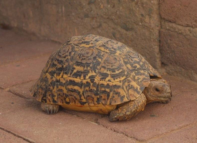 Soeterus Guest Farm主图