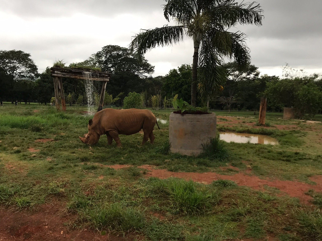 Jardim Zoologico De Brasilia景点图片