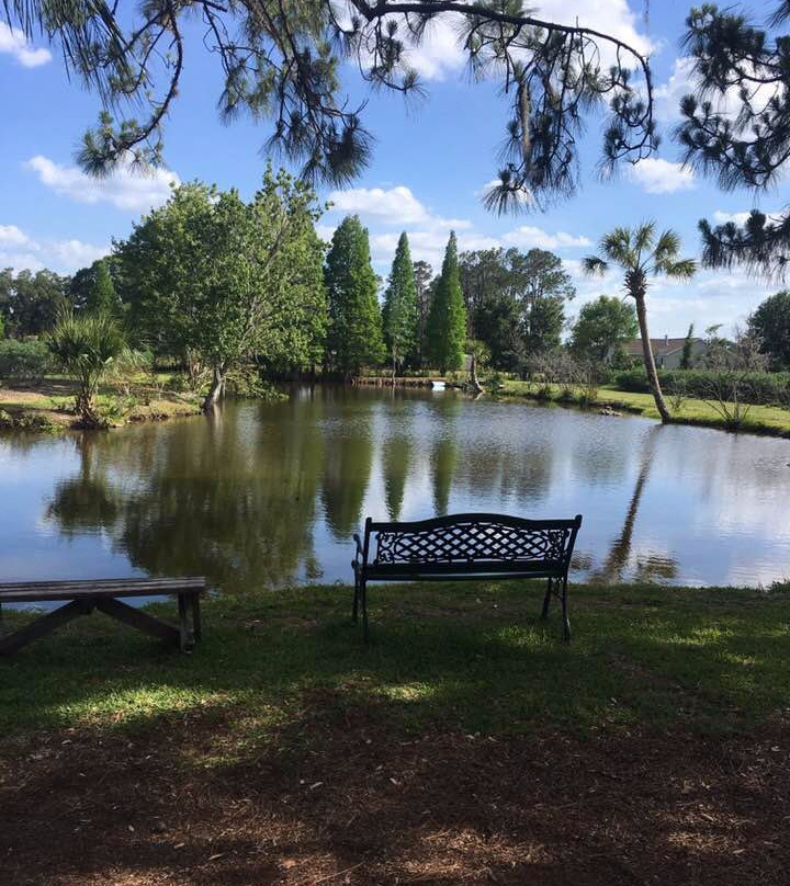 Shady Oak Farm-莱克兰必去景点