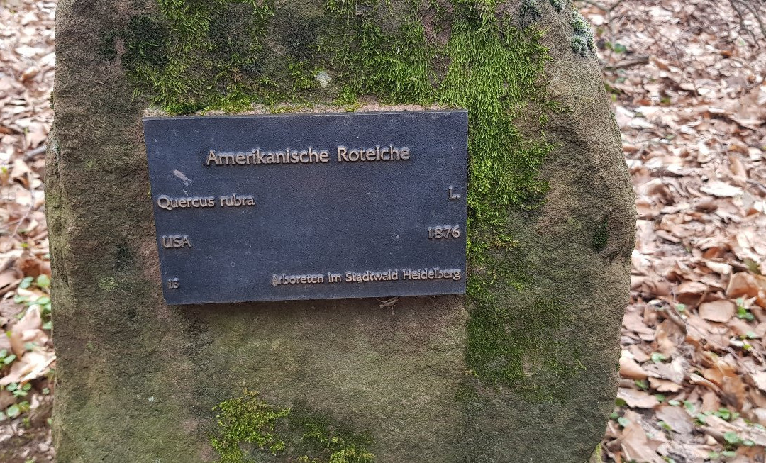 Sprunghohe-海德尔堡必去景点