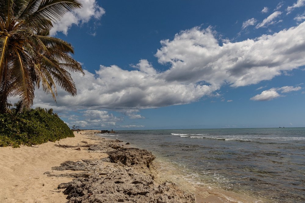 Barbers Point Beach Park-考普雷必去景点