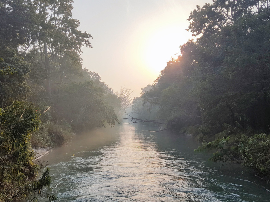 Pilibhit Tiger Reserve景点图片