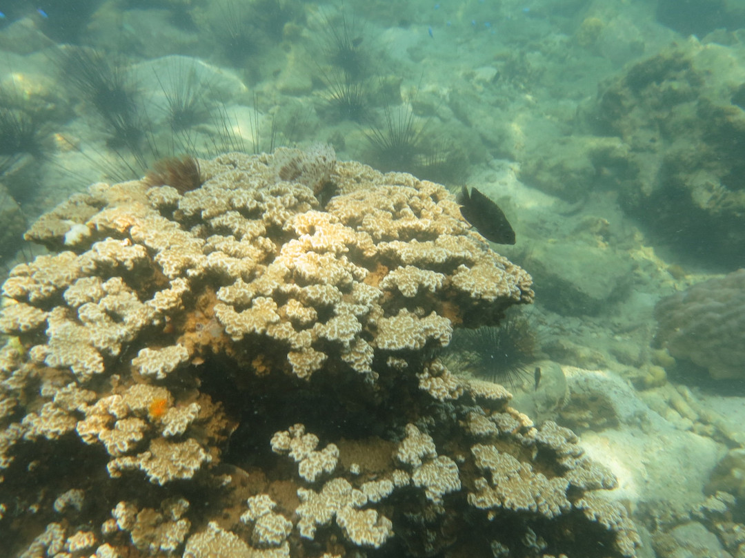 Dive Seacret-玛岛必去景点