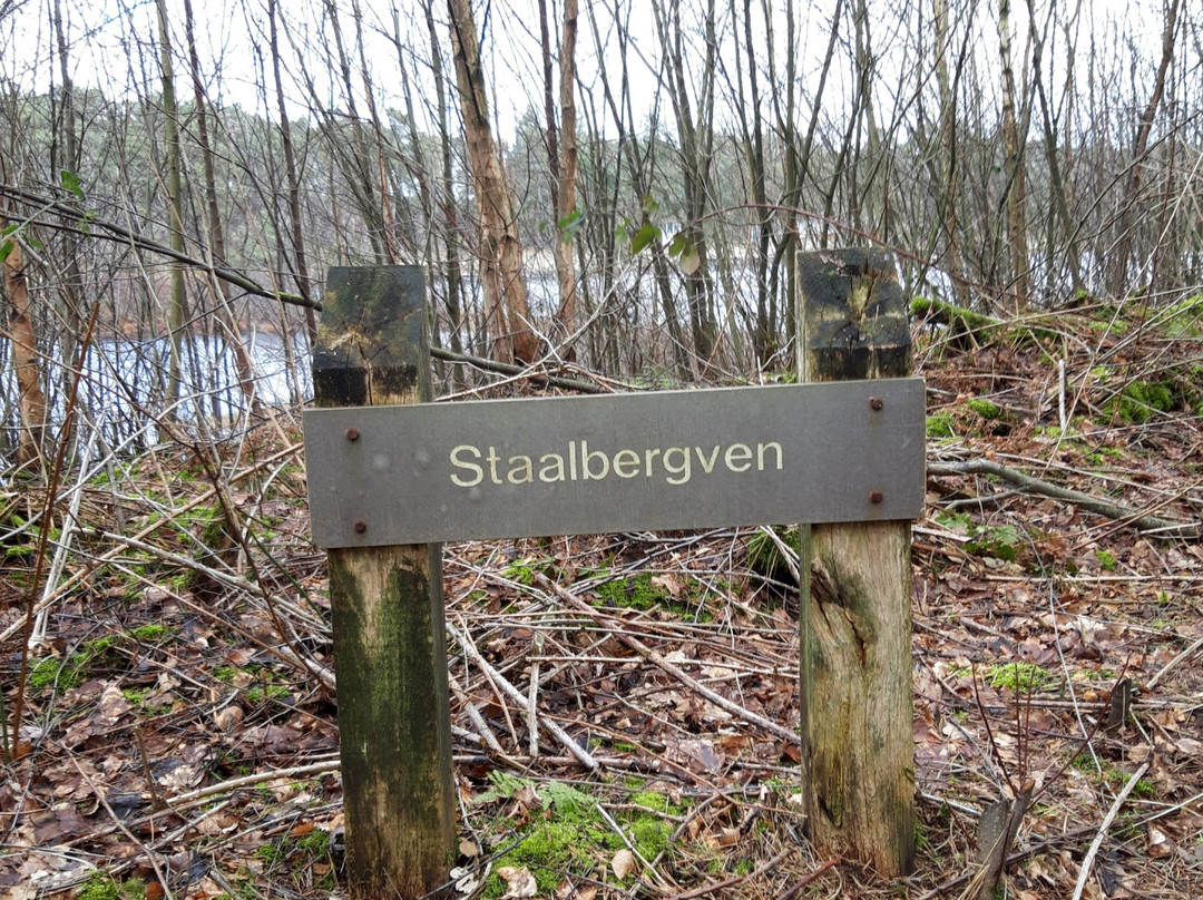 Oisterwijk旅游景点-Staalbergven