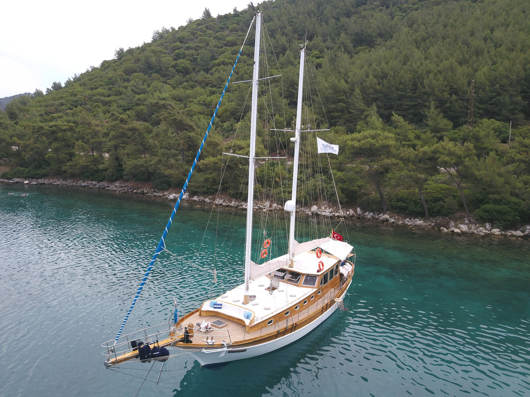 NIS Yachting景点图片