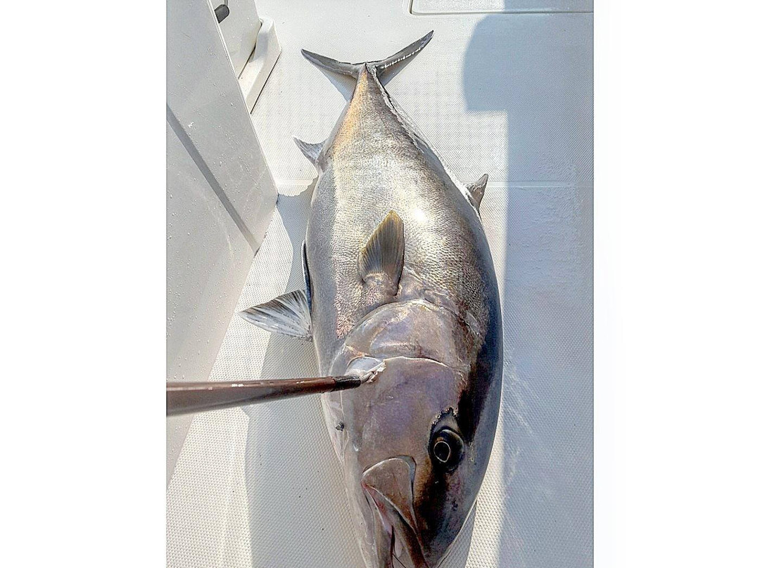 Liquid Fire Sportfishing景点图片