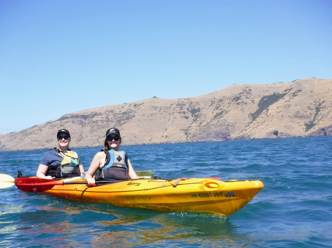 Akaroa Guided Kayak Safari景点图片