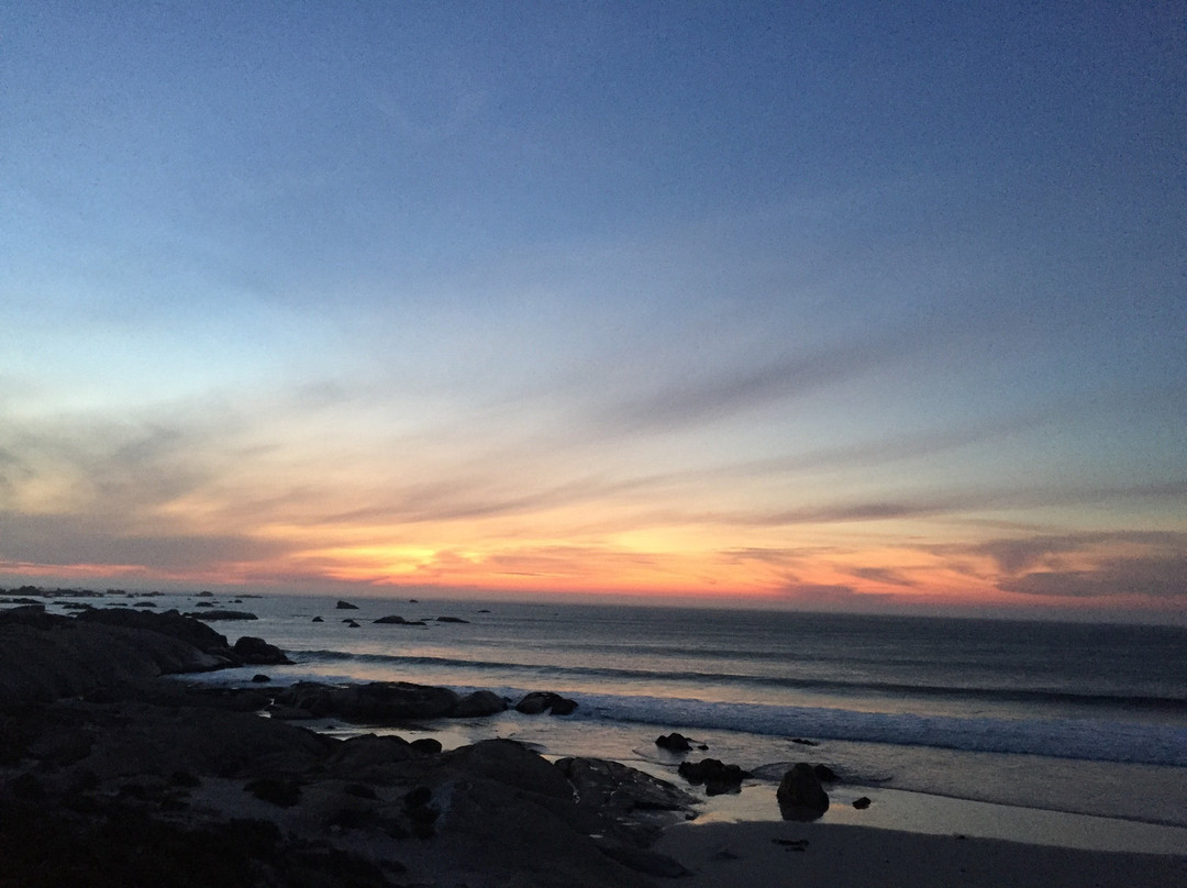 The Oystercatcher’s Haven主图