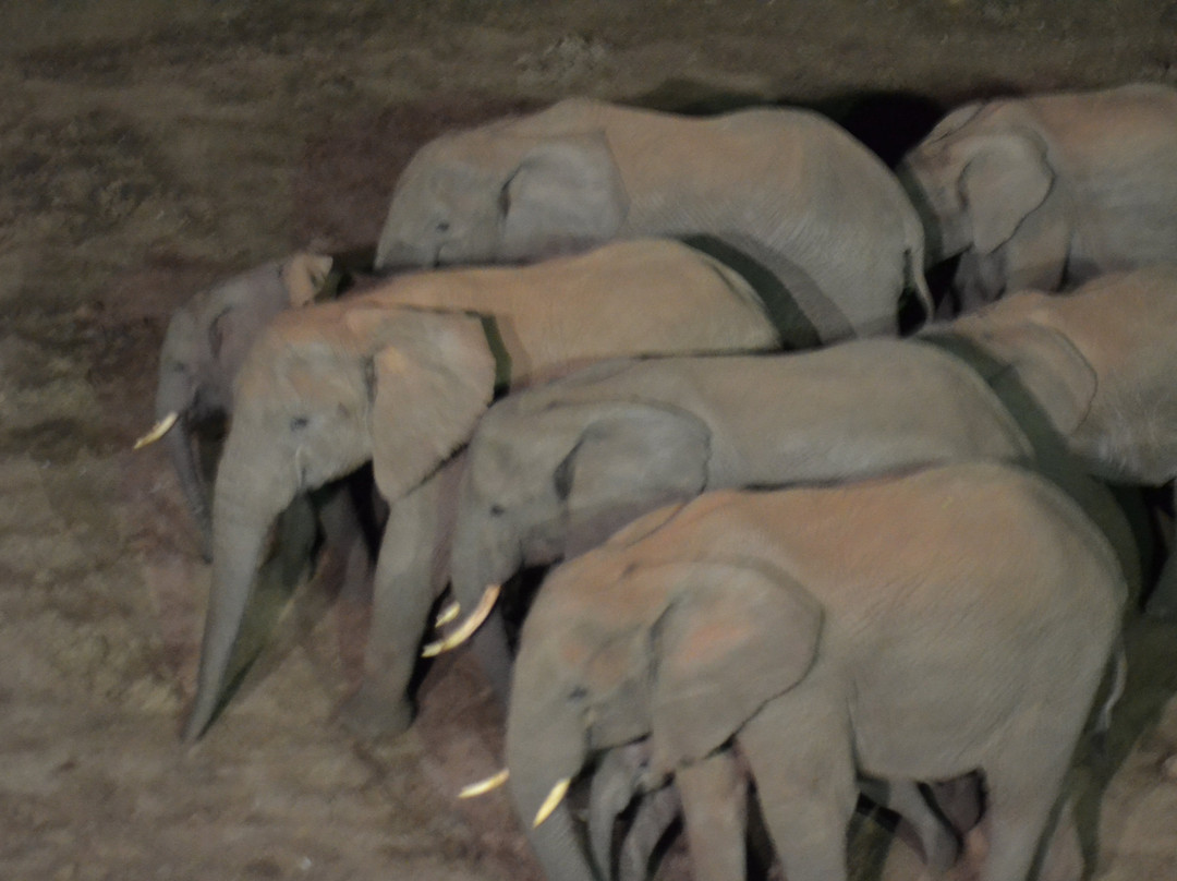 方舟山林小屋主图