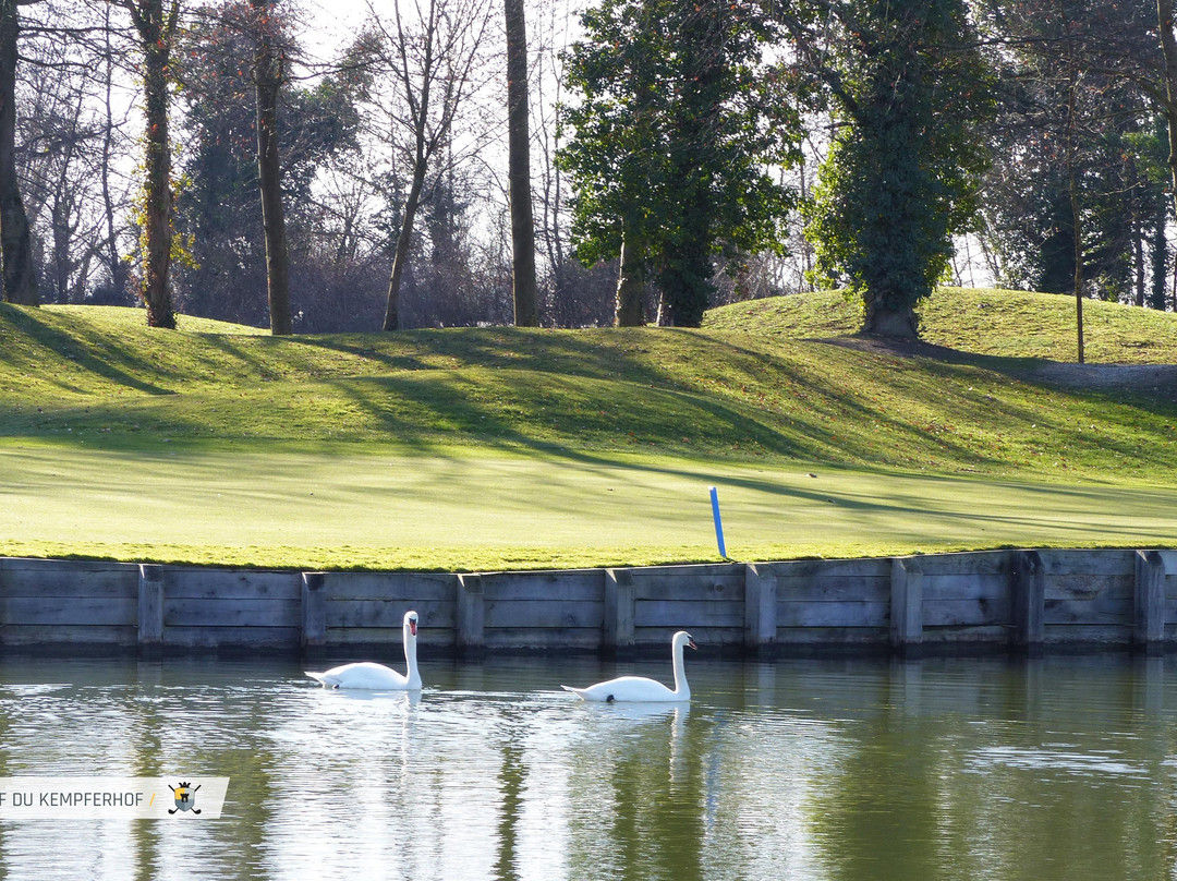 Le Golf du Kempferhof景点图片