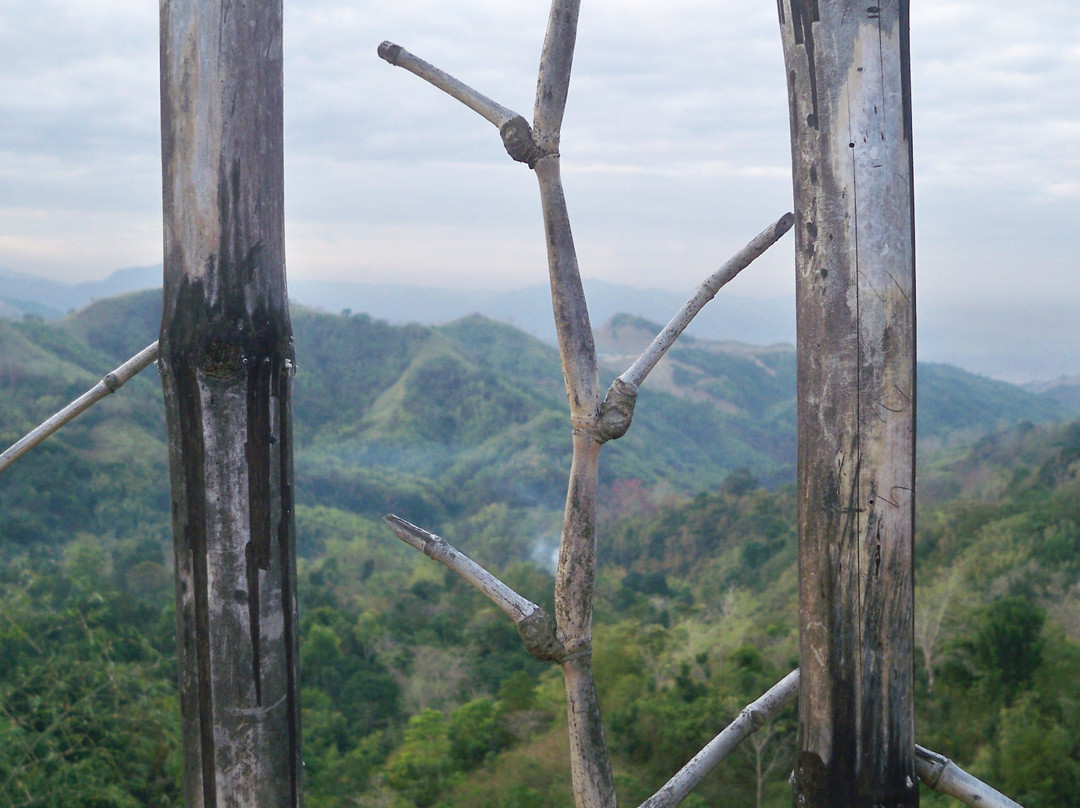 Mt. Balagbag景点图片