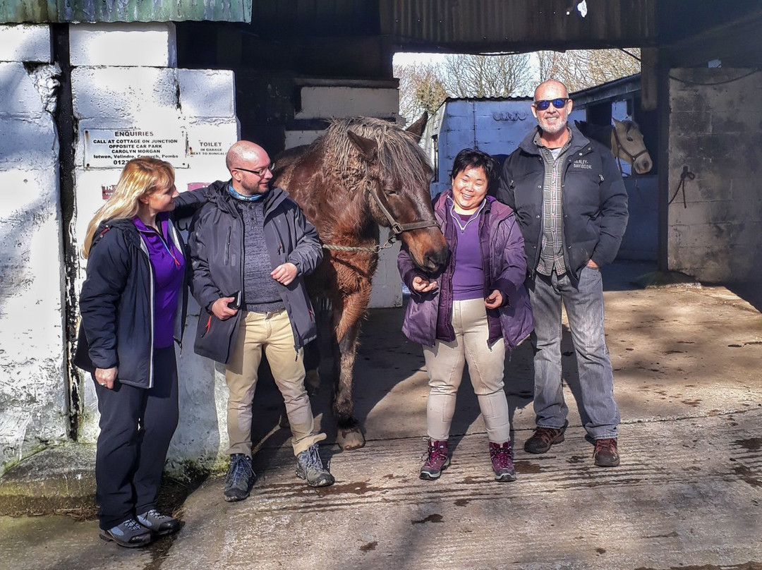 Crosswell Riding Stables-Crymych必去景点