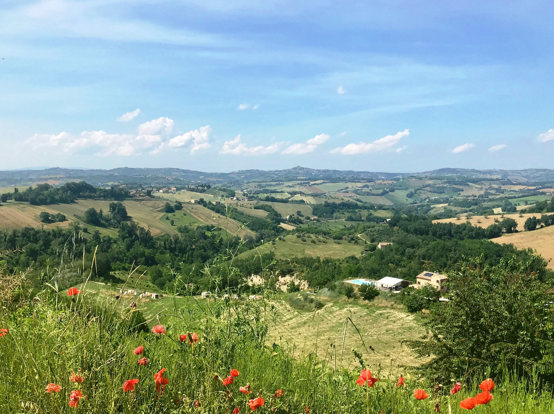 Agriturismo Unico Senso