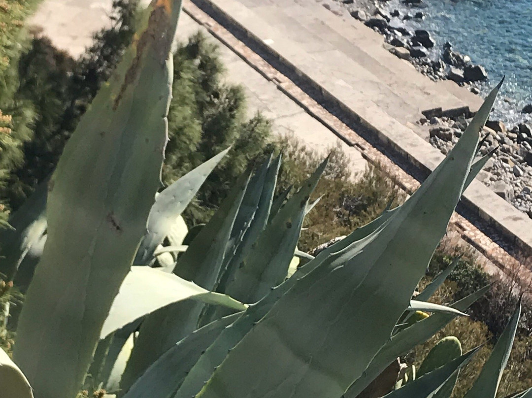 Spiaggia Marina di Capo Nero景点图片