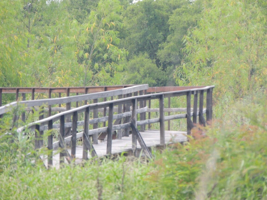 Reserva Natural del Pilar景点图片