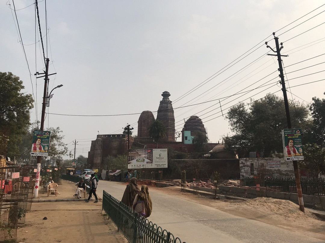 Shri Radha Madan Mohan Ji Temple景点图片