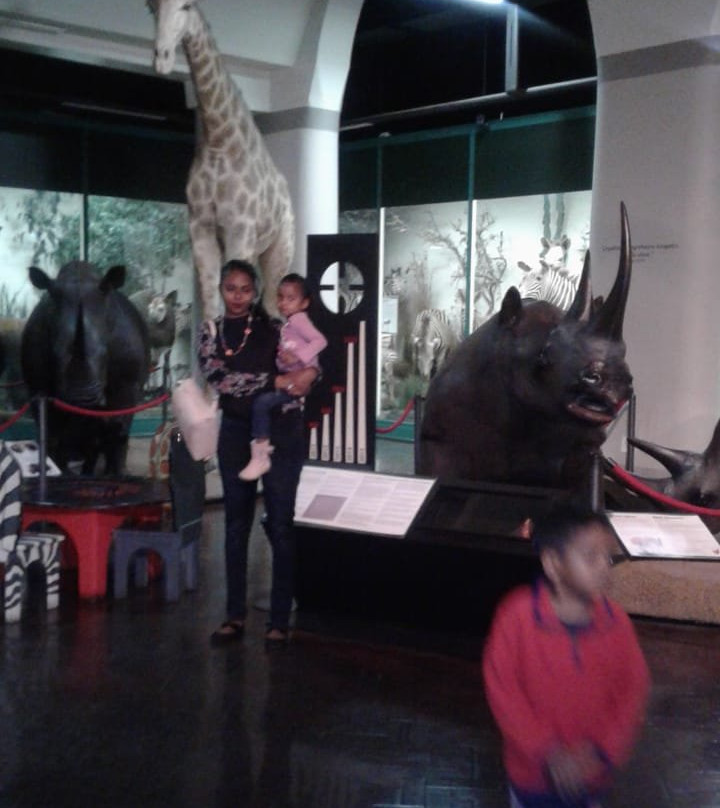 KwaZulu-Natal Museum-彼得马里茨堡必去景点