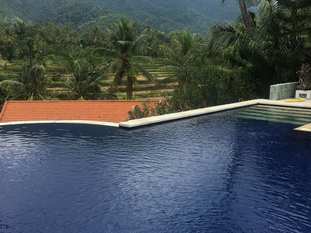 Lotus Guesthouse主图