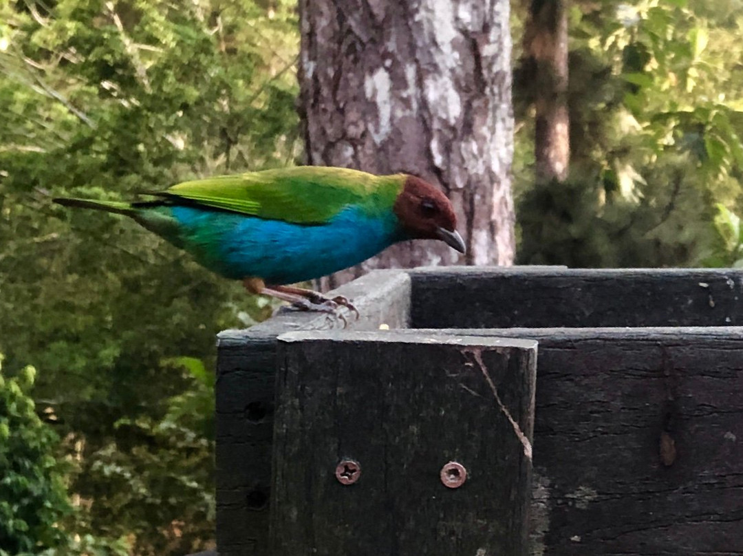 La Semilla Ecolodge主图