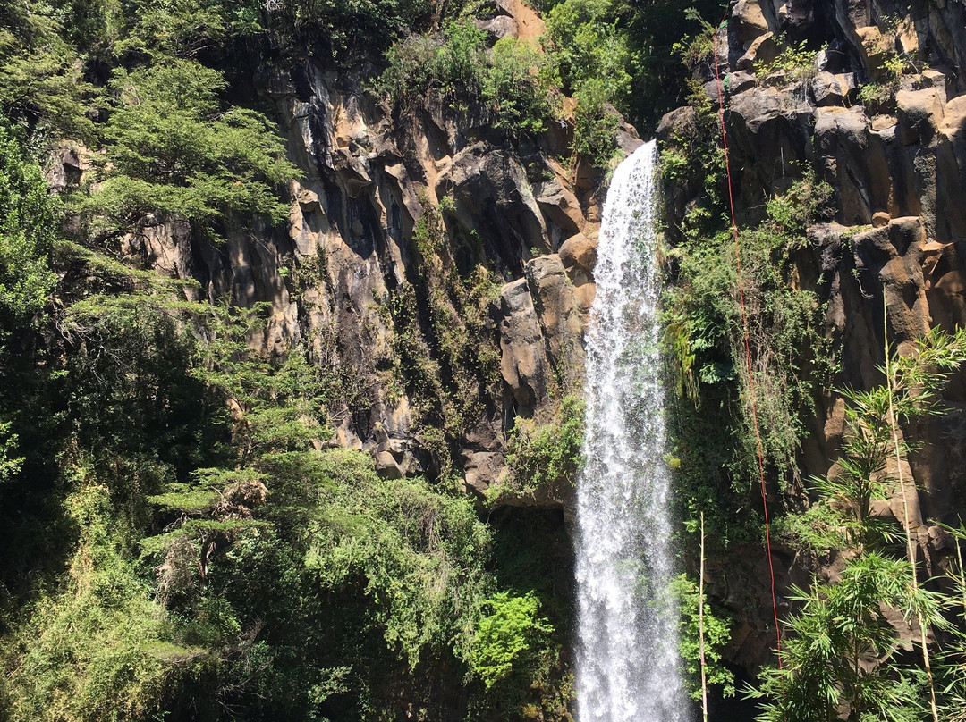 Salto de la Princesa-Curacautin必去景点