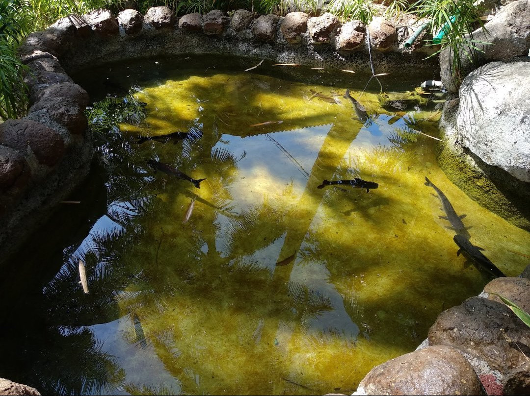 Shantashil Resort主图